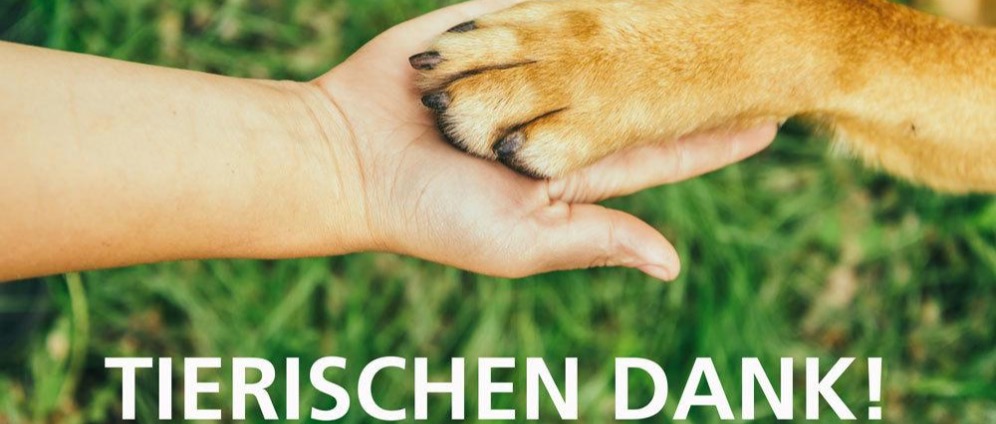Spenden sammeln | Gemeinsam Leben retten Hilfe für Tiere in Not | Spendenseite