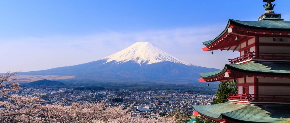Spenden sammeln | Japan Sprachkurs | Spendenseite