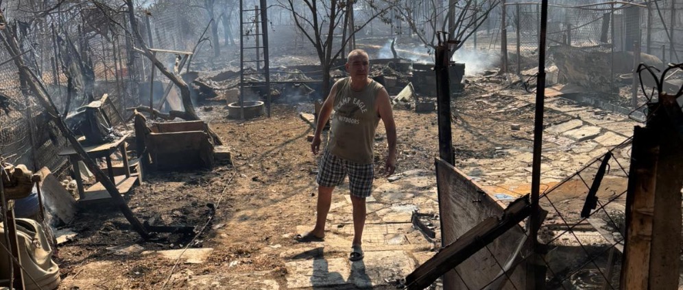 Spenden sammeln | Feuer im Rumänischen Tierheim | Spendenseite