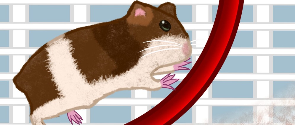 Spenden sammeln | Raus aus dem Hamsterrad | Spendenseite