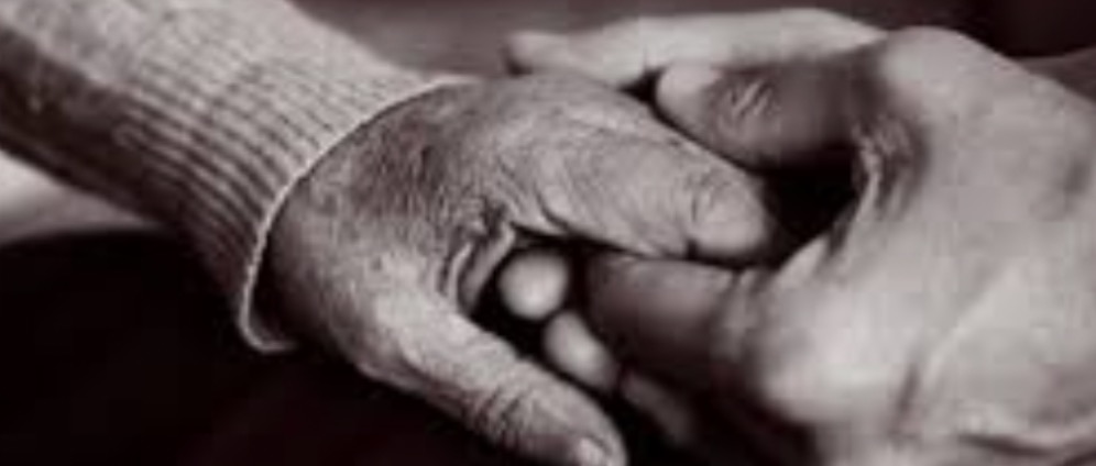 Spenden sammeln | Letzte Möglichkeit für eine Weltreise | Spendenseite