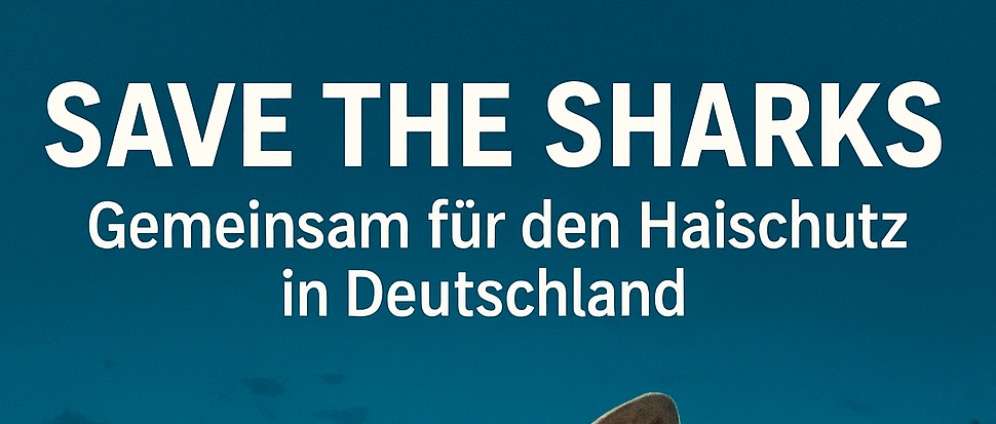 Spenden sammeln | Safe the Sharks | Spendenseite