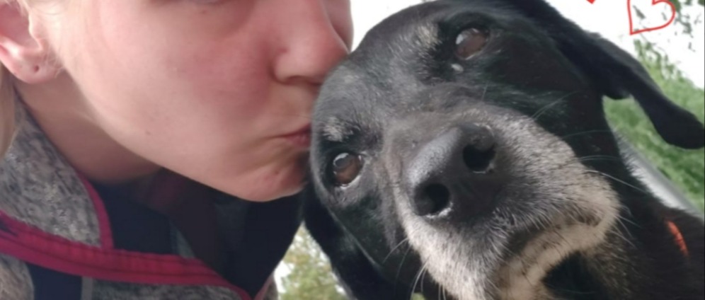 Spenden sammeln | Hund nach Hause holen | Spendenseite