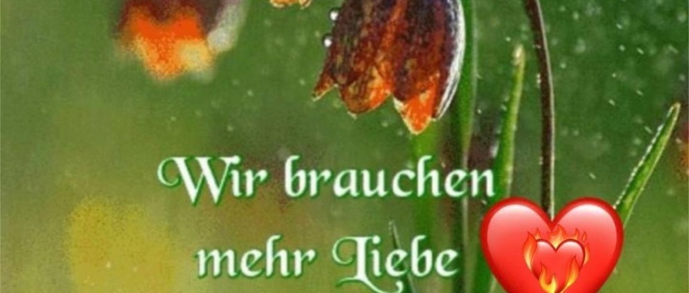 Spenden sammeln | SCHULDEFREI LEBEN | Spendenseite