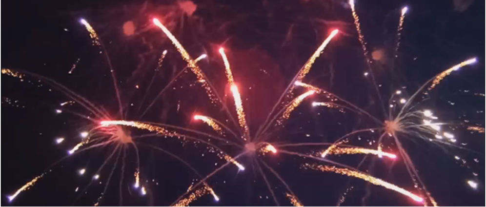 Spenden sammeln | Zentralfeuerwerk Mildensee 2025 | Spendenseite