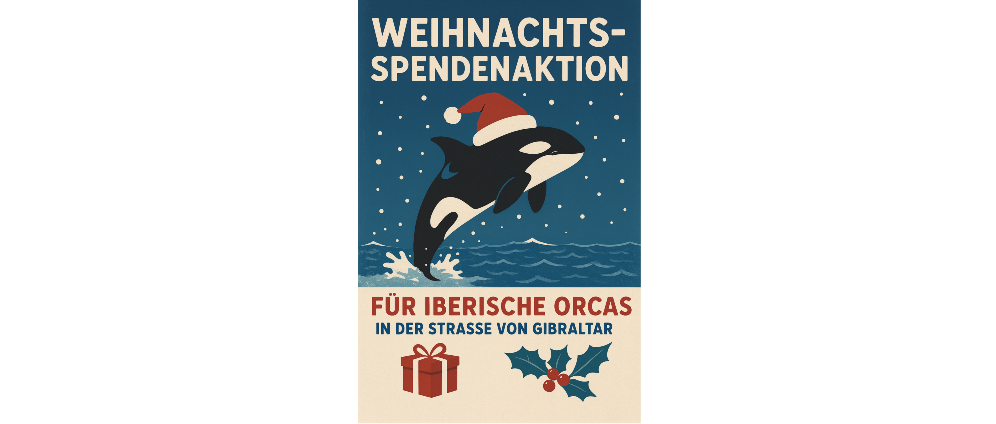 Spenden sammeln | Weihnachten für die Iberischen Orca's | Spendenseite