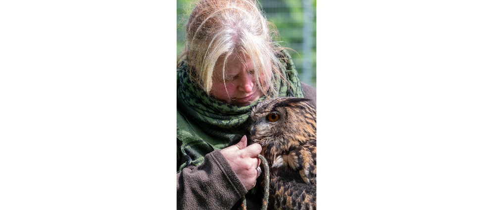 Spenden sammeln | Hilfe auf Grund Vogelgrippe Situation für die Falknerei im Sauerland | Spendenseite