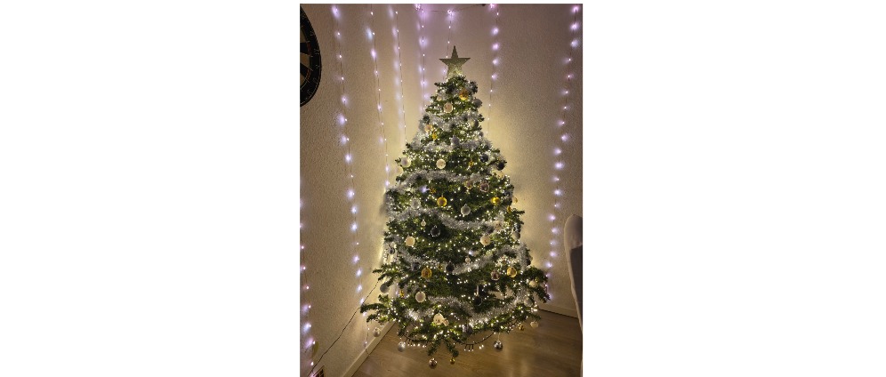 Spenden sammeln | Weihnachten | Spendenseite