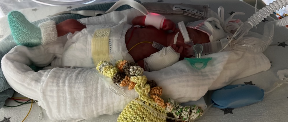 Spenden sammeln | Kleine Kämpfer große Schritte | Spendenseite