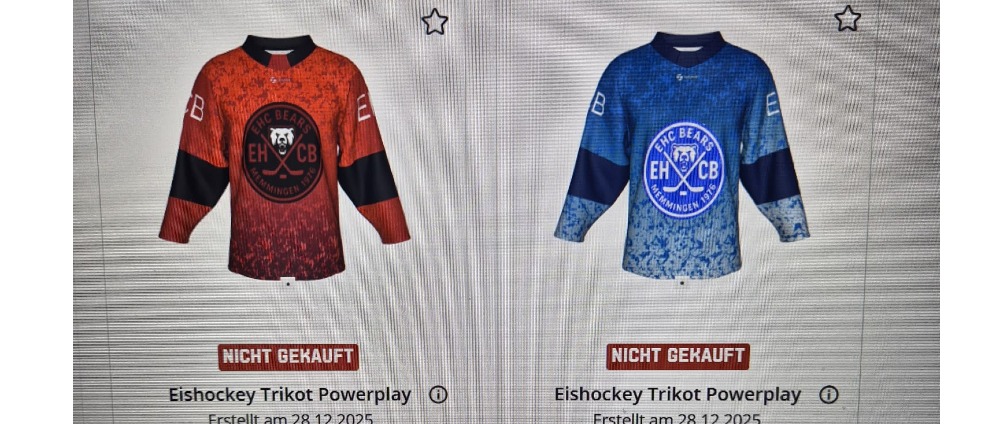 Spenden sammeln | Neue Trikots für den EHCB | Spendenseite