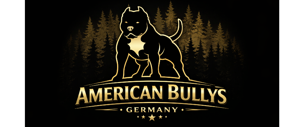 Spenden sammeln | Gründung Bully Verein | Spendenseite