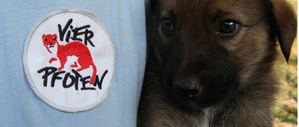 Spenden sammeln | Spenden für Tiere in Not | Spendenseite