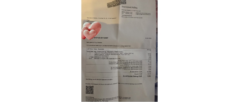 Spenden sammeln | Dringend Zahn OP Katze | Spendenseite