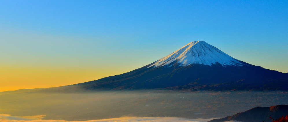 Spenden sammeln | Ich hab genug Sayonara Deutschland, Okaeri Japan! | Spendenseite