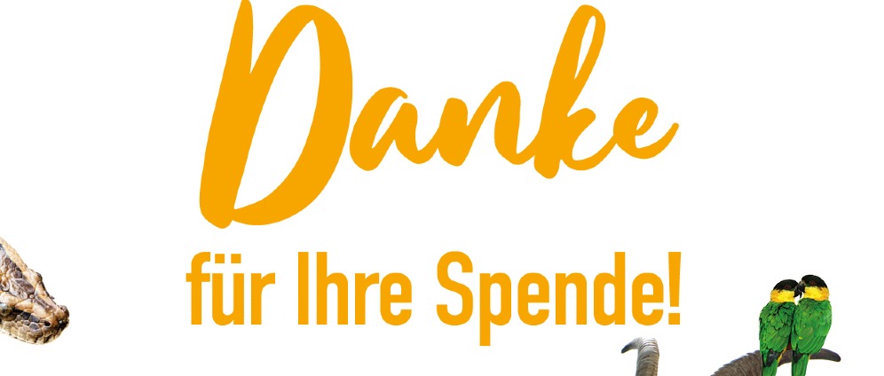 Spenden sammeln | Hilf uns, Tierheime zu unterstützen! | Spendenseite