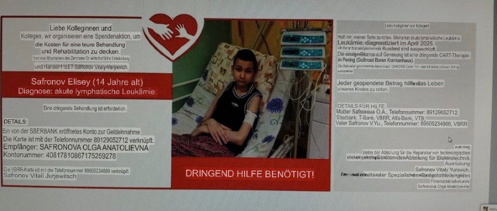 Spenden sammeln | Safronov Elisey | Spendenseite