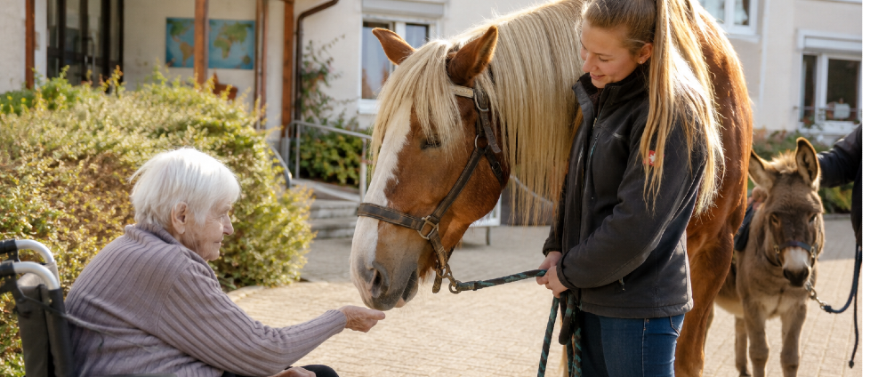 Spenden sammeln | Gemeinsam gegen Einsamkeit Tiergestützte Besuchsdienste mit Pferden, Ponys und Eseln | Spendenseite
