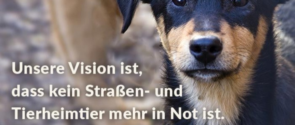 Spenden sammeln | Tierheime NRW | Spendenseite
