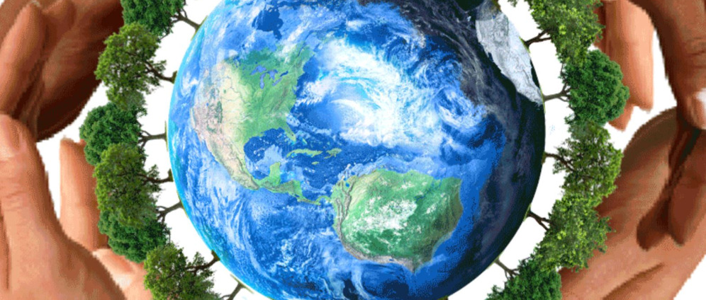 Spenden sammeln | Lulu and Friends turning the tide on plastic | Spendenseite