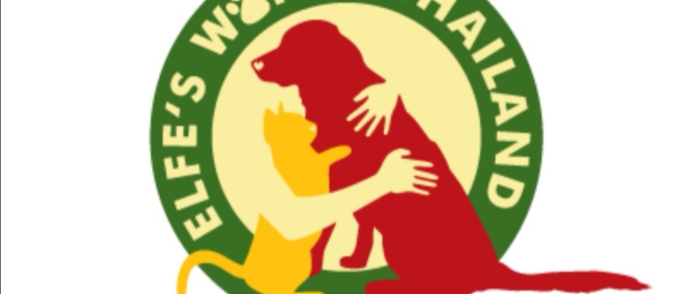 Spenden sammeln | Elfesworld Thailand Hundefleischhandel | Spendenseite