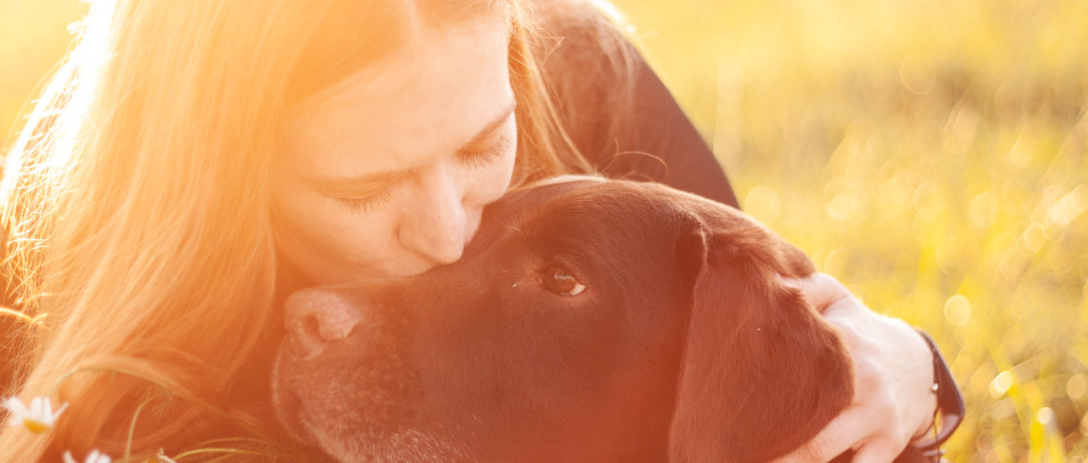 Spenden sammeln | Marley und Ich brauchen Hilfe | Spendenseite