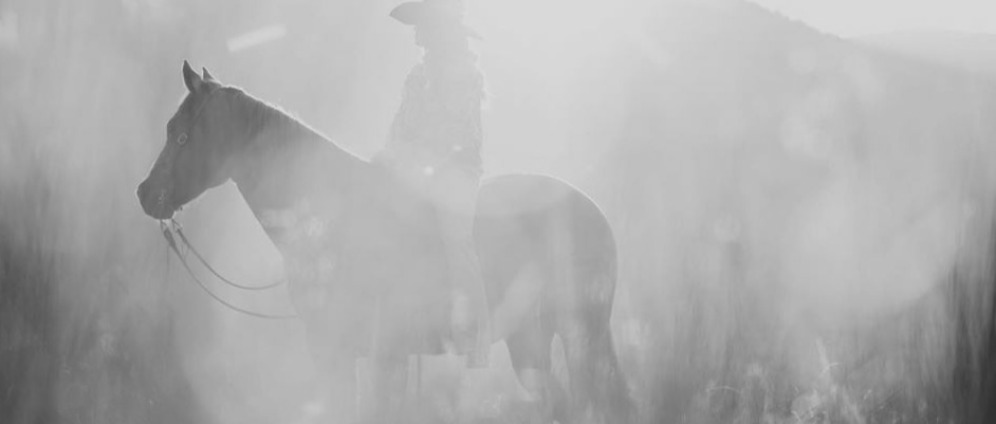 Spenden sammeln | Mein großer Traum ein Pferd | Spendenseite