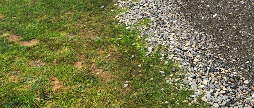 Spenden sammeln | Gartenanlage | Spendenseite