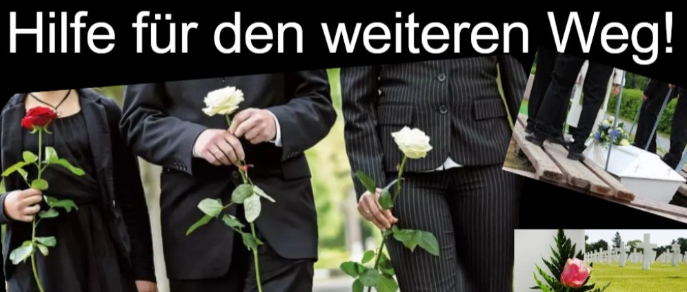 Spenden sammeln | Von jetzt auf gleich alleine gestellt.. | Spendenseite
