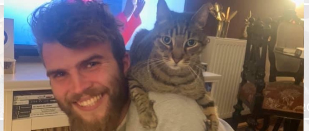 Spenden sammeln | Kater Frodo will leben! | Spendenseite
