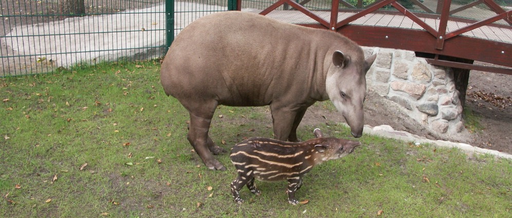 Tierpark Gettorf | Spenden sammeln