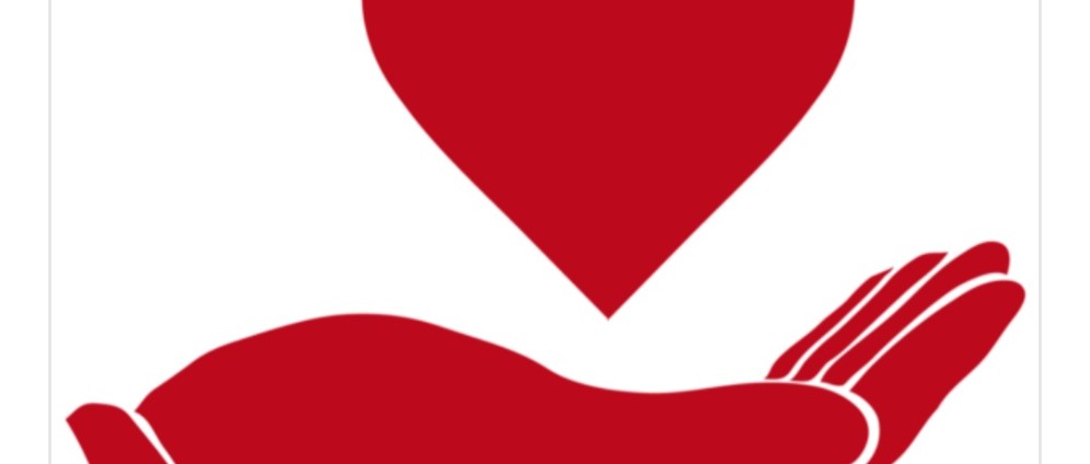 Spenden sammeln | Projekt z.i.d.b | Spendenseite