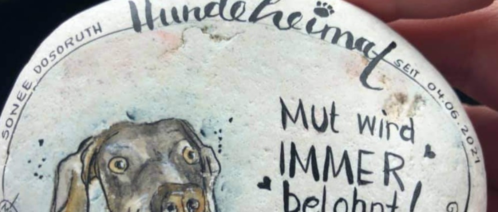 Spenden sammeln | Hundeheimat | Spendenseite
