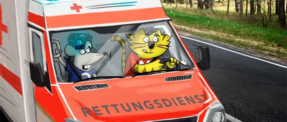 Spenden sammeln | Ausbildung als Rettungssanitäter in | Spendenseite