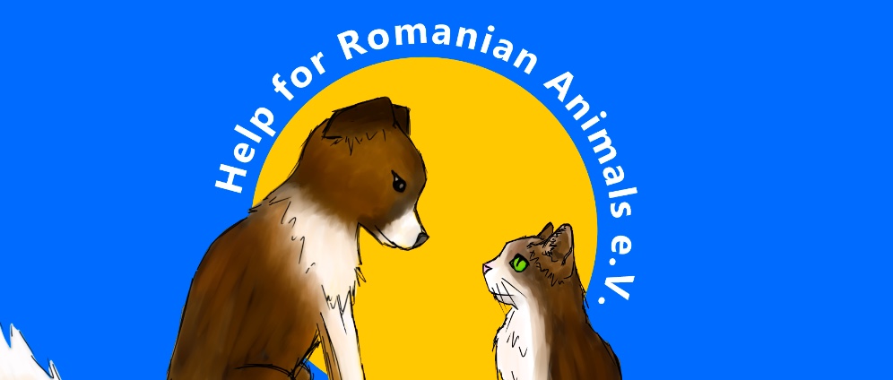 Homepage für Tierschutzverein | Spenden sammeln