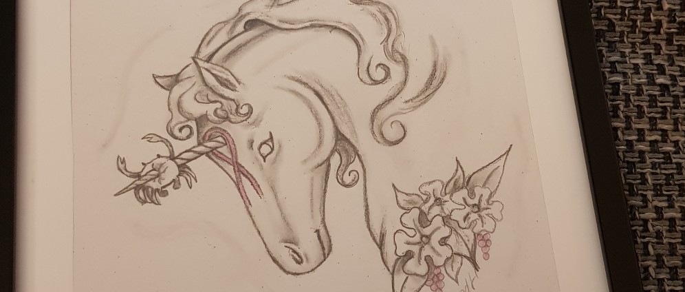 Spenden sammeln | Cancer vs Unicorn | Spendenseite