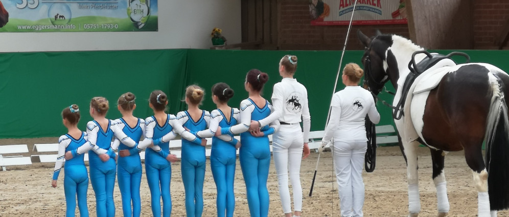 Spenden sammeln | Voltikids brauchen Voltipferd | Spendenseite