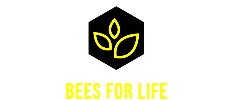 Spenden sammeln | Beesforlife | Spendenseite