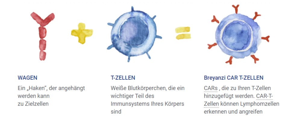 Spenden sammeln | Breyanzi ein Medikament das Leben retten kann! | Spendenseite