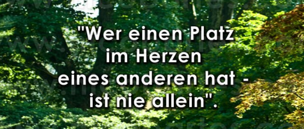 Spenden sammeln | Leben am Limit Eine Familie braucht unsere Hilfe | Spendenseite