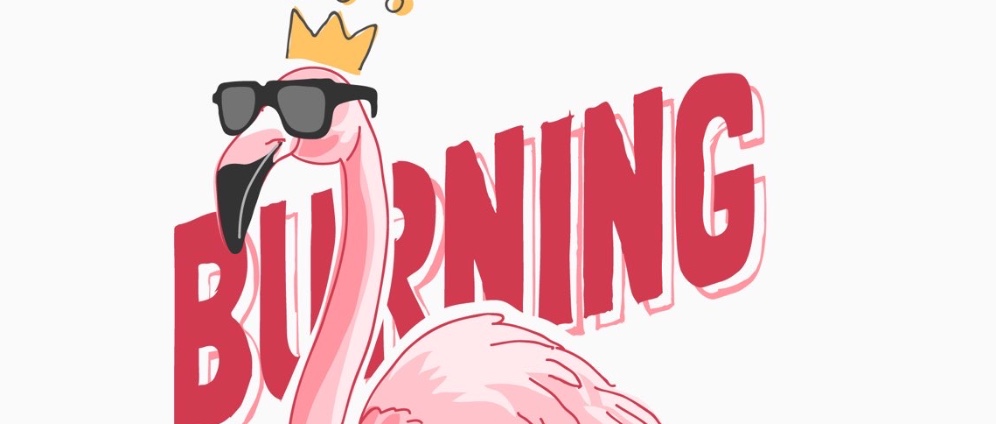 Spenden sammeln | Burning Ingo 2022 | Spendenseite