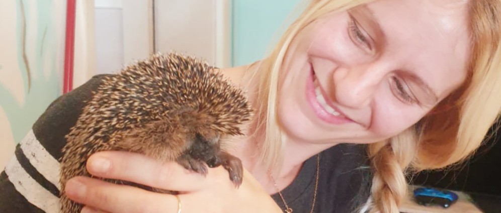 Spenden sammeln | Tierarztrechnungen | Spendenseite