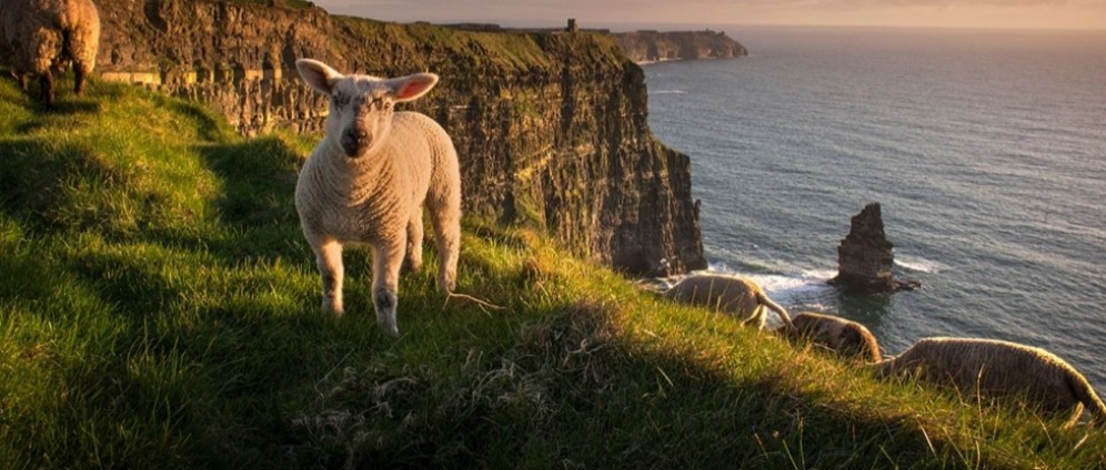 Spenden sammeln | Schülerauslandsjahr in Irland | Spendenseite
