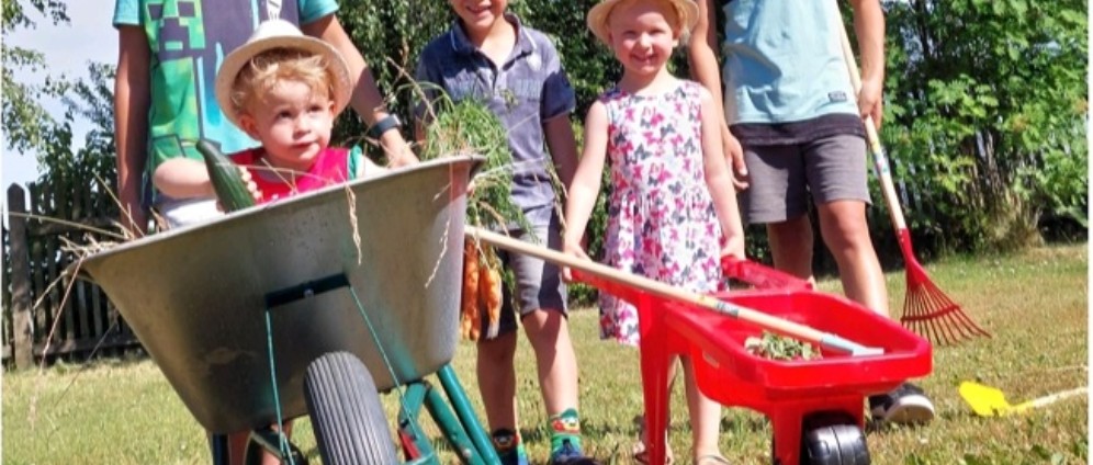 Spenden sammeln | Sommerfest der Kleingärtner | Spendenseite