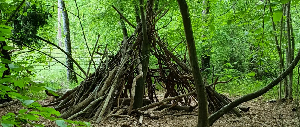 Spenden sammeln | Außerschulische Lernangebote in der Natur | Spendenseite