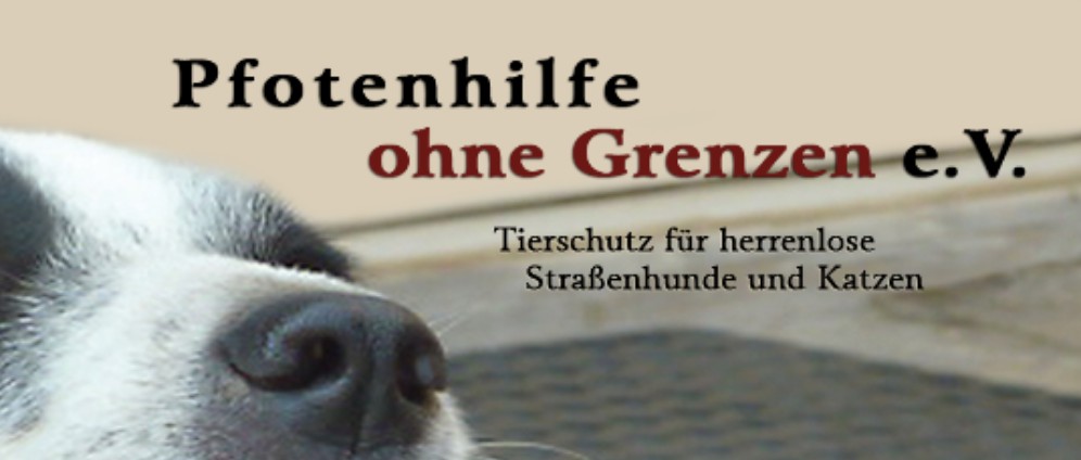 Spenden sammeln | Projekt Hundehütten | Spendenseite