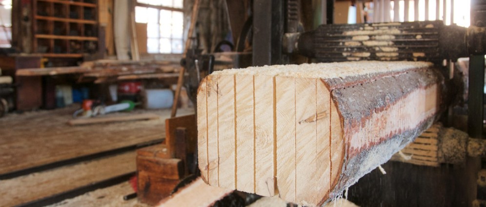 Holz als Baustoff für weniger Co2 | Spenden sammeln