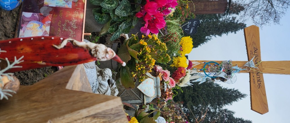 Spenden sammeln | Ayleen 14j. Brutal ermordet. Bitte ihrer Familie | Spendenseite
