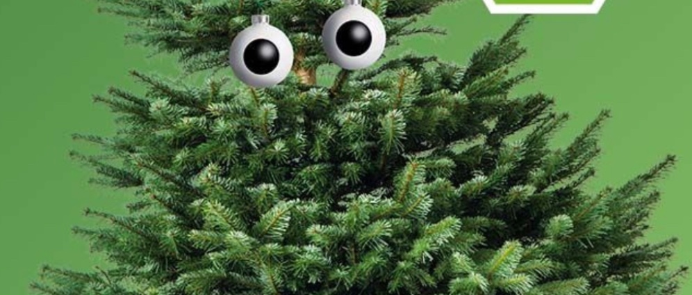 Spenden sammeln | Weihnachtsbaum Kita Bilby Garden | Spendenseite