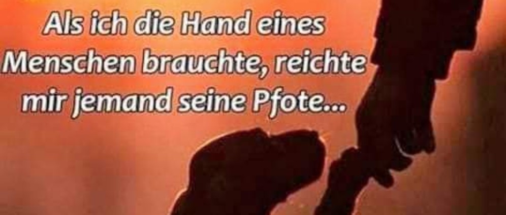 Spenden sammeln | Hilfe dringend gebraucht | Spendenseite