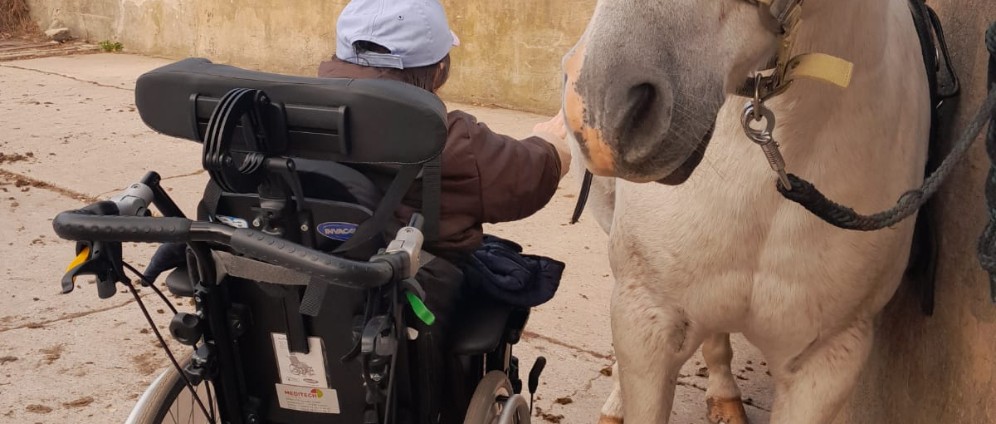 Kauf eines Rollstuhl geeigneten Autos | Spenden sammeln